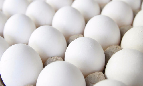 Huevo blanco